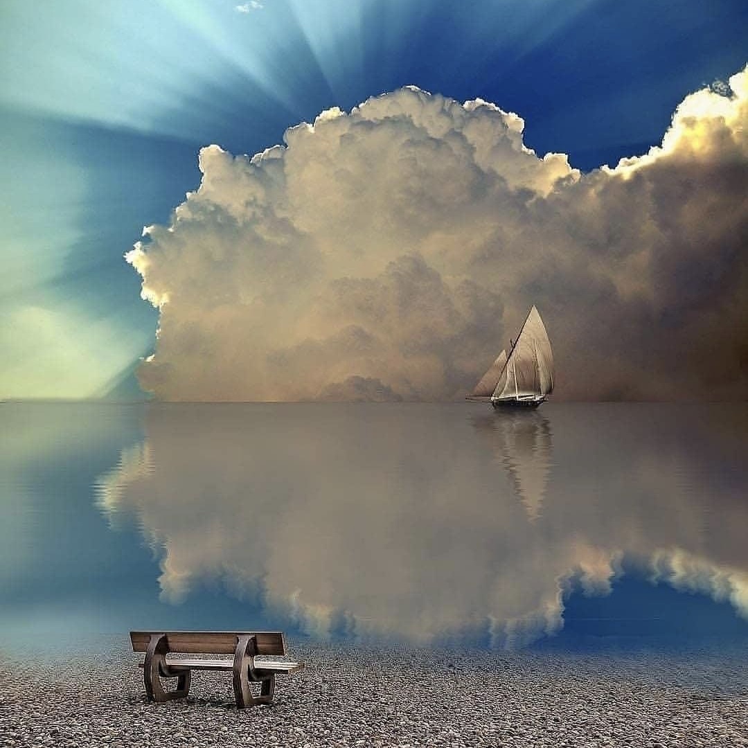Finding peace in our grief